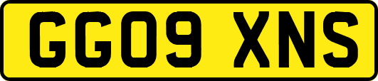 GG09XNS