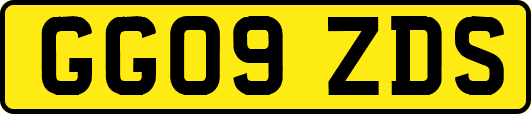GG09ZDS