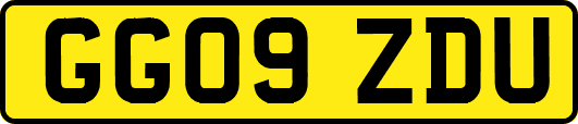 GG09ZDU