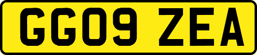GG09ZEA