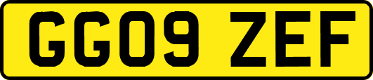 GG09ZEF