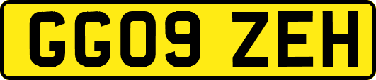 GG09ZEH
