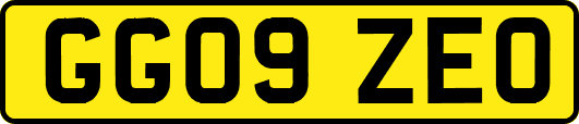 GG09ZEO