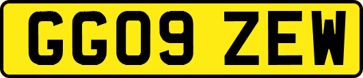 GG09ZEW
