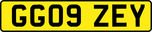 GG09ZEY