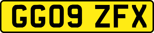 GG09ZFX