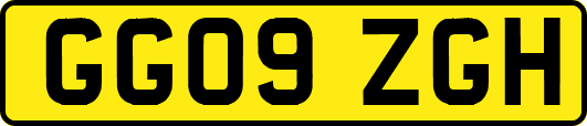 GG09ZGH