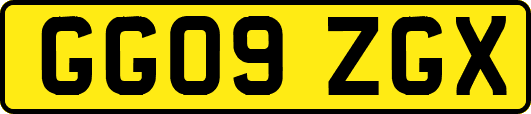 GG09ZGX