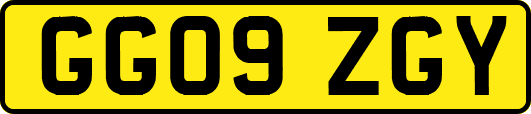 GG09ZGY
