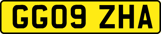 GG09ZHA