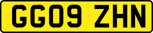 GG09ZHN