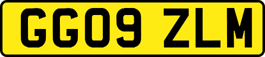GG09ZLM