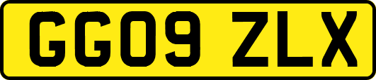 GG09ZLX
