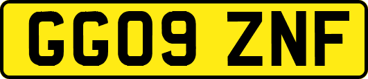 GG09ZNF