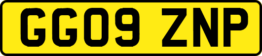 GG09ZNP