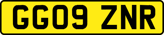 GG09ZNR
