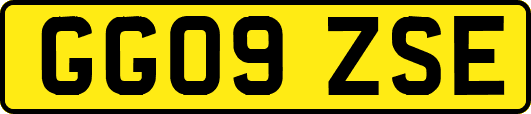 GG09ZSE