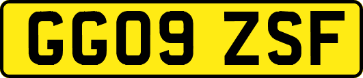 GG09ZSF