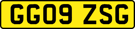GG09ZSG