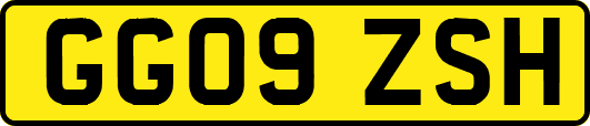 GG09ZSH