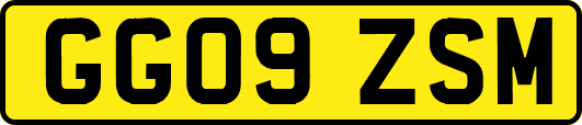 GG09ZSM