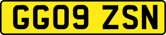 GG09ZSN