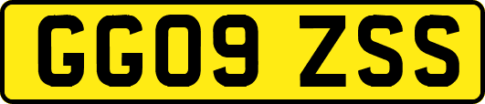 GG09ZSS