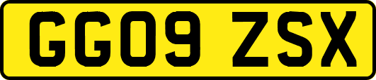 GG09ZSX