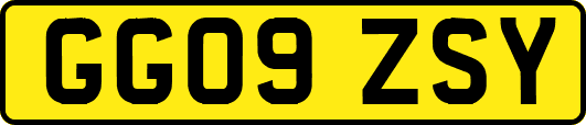 GG09ZSY