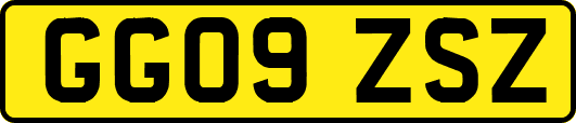GG09ZSZ