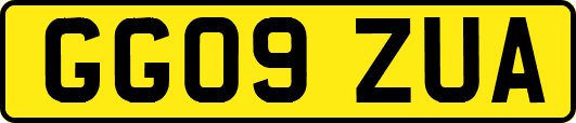 GG09ZUA