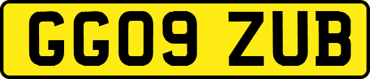 GG09ZUB