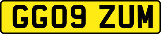 GG09ZUM