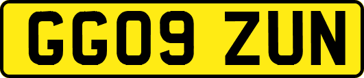 GG09ZUN