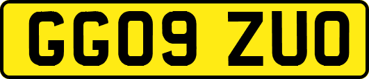 GG09ZUO
