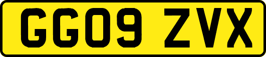 GG09ZVX