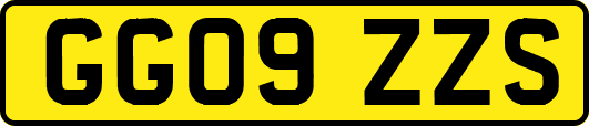 GG09ZZS