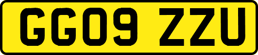 GG09ZZU