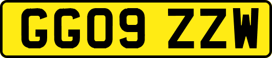 GG09ZZW