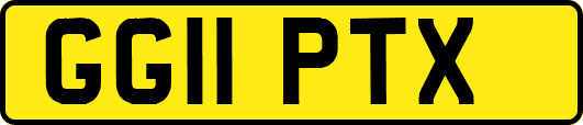 GG11PTX