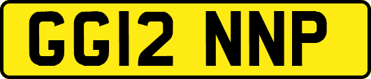 GG12NNP