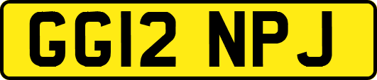 GG12NPJ