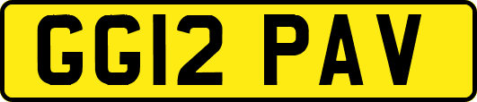 GG12PAV