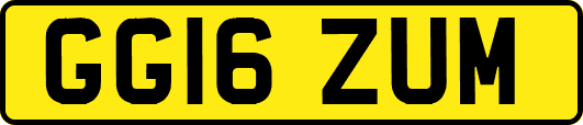 GG16ZUM