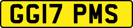 GG17PMS