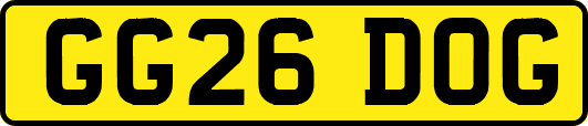 GG26DOG