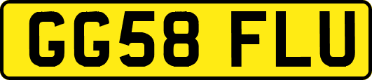 GG58FLU