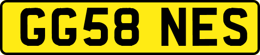 GG58NES