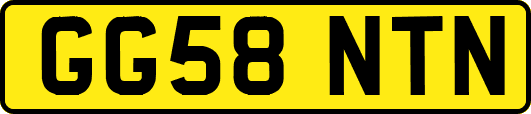 GG58NTN
