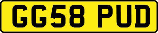 GG58PUD